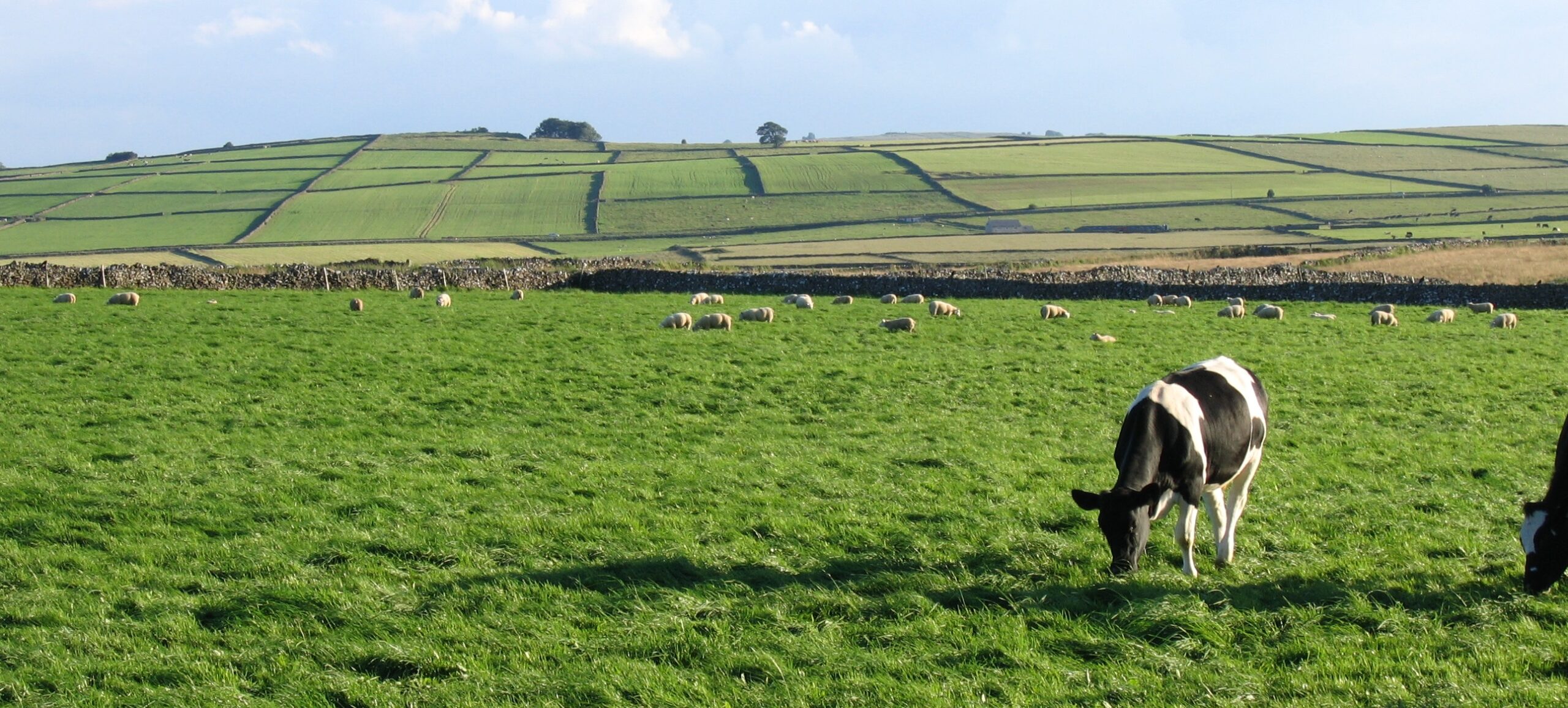 Business idioms connected to farming and agriculture 